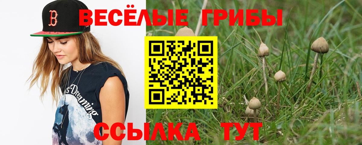 Галлюциногенные грибы мицелий  Вход с VPN  Серов 