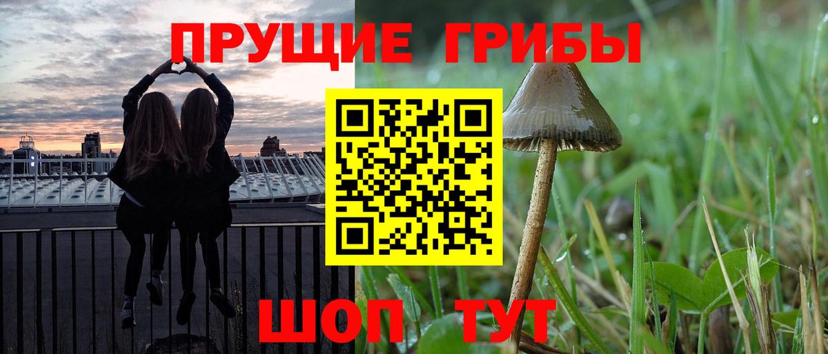 Галлюциногенные грибы Magic Shrooms Серов